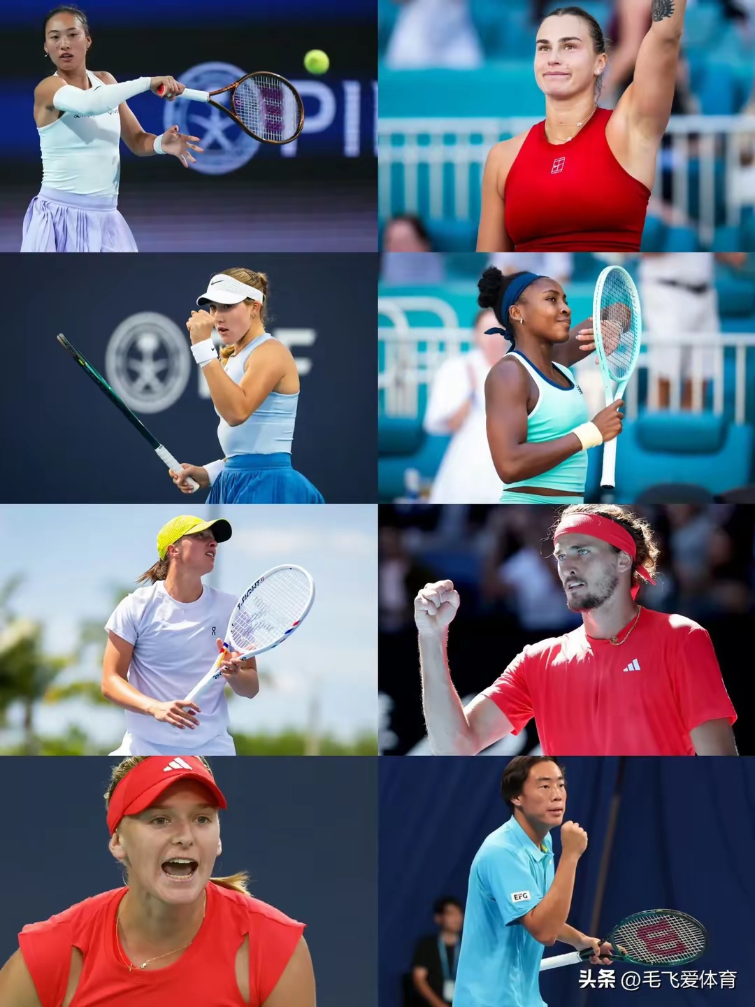 赛地聚焦：法国杯赛后热度飙升，丹佛掘金迎来里程碑，底气十足，身体对抗强度拉满的简单介绍